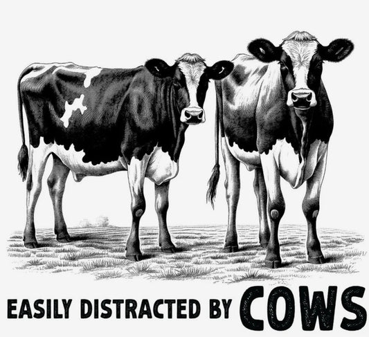 Easily Distracted by Cows vintage Holstein cows graphic tee design